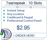Teamspeak Server 10 
User